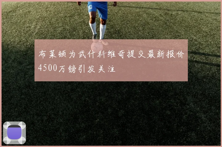 布莱顿为武什科维奇提交最新报价4500万镑引发关注