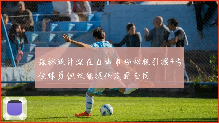 森林狼计划在自由市场积极引援4号位球员但仅能提供底薪合同