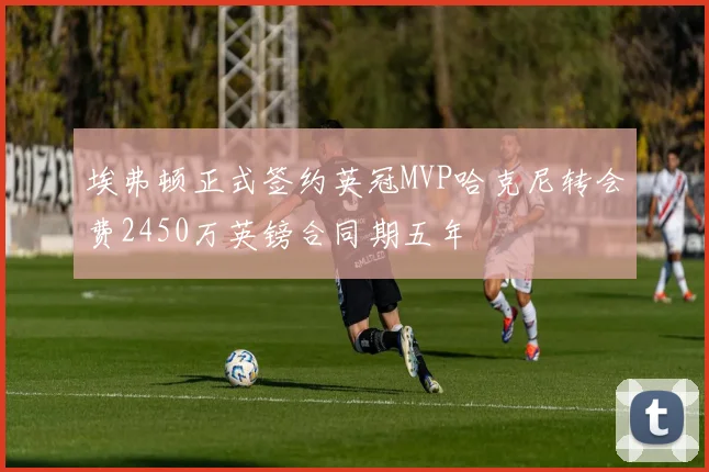 埃弗顿正式签约英冠MVP哈克尼转会费2450万英镑合同期五年